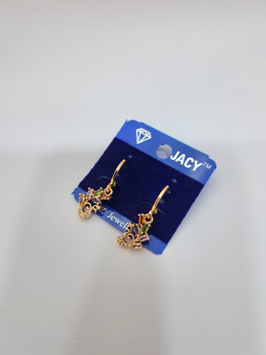Designer earring